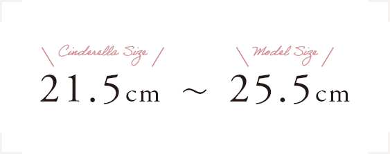 TCYWJ21.5cm`25.5cm