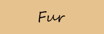 Fur