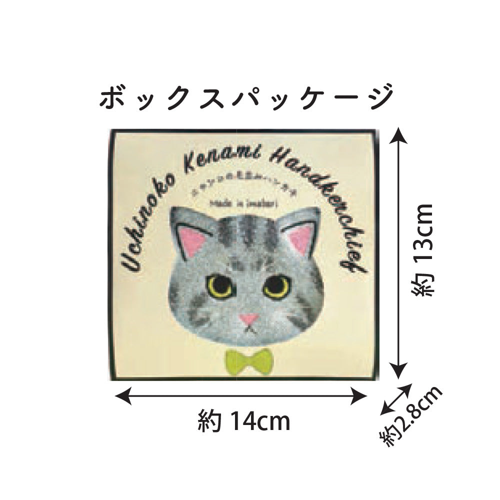 Uchinoko mate にゃんこシリーズ 毛並みハンカチ – JELLY BEANS Online