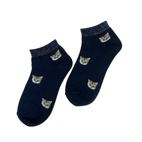 �|�[�����W���[�@�A���N���k�l�b�g�t�F�C�X�����\�b�N�X