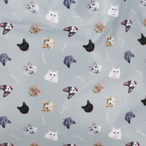 UCHINOKOKAMOIII�ۗ�ۉ��G�R�o�b�O