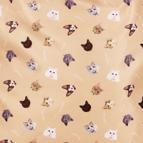 UCHINOKOKAMOIII�ۗ�ۉ��G�R�o�b�O