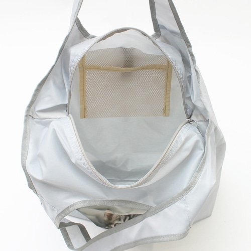 CAT DAY�ۗ�ۉ��R���p�N�g�G�R�o�b�O