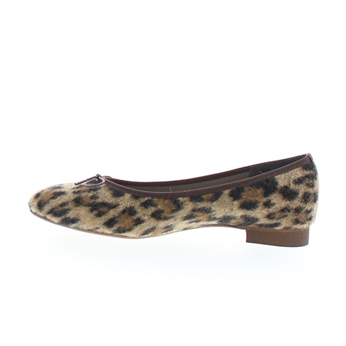 2025AWVF󒍐Y|CebhoG<ӂ킳>E