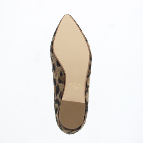 2025AWVF󒍐Y|CebhoG<ӂ킳>E