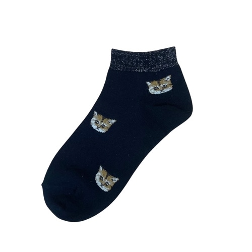 �|�[�����W���[�@�A���N���k�l�b�g�t�F�C�X�����\�b�N�X