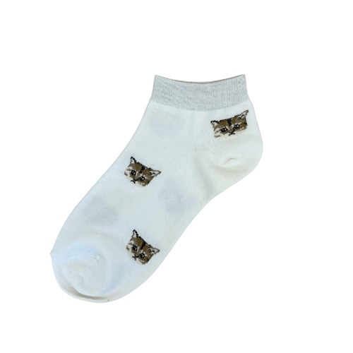 �|�[�����W���[�@�A���N���k�l�b�g�t�F�C�X�����\�b�N�X