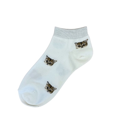 �|�[�����W���[�@�A���N���k�l�b�g�t�F�C�X�����\�b�N�X